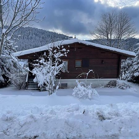 Chalet Situe Au Grand Valtin Villa Ban-sur-Meurthe-Clefcy Esterno foto