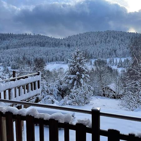 Chalet Situe Au Grand Valtin Villa Ban-sur-Meurthe-Clefcy Esterno foto