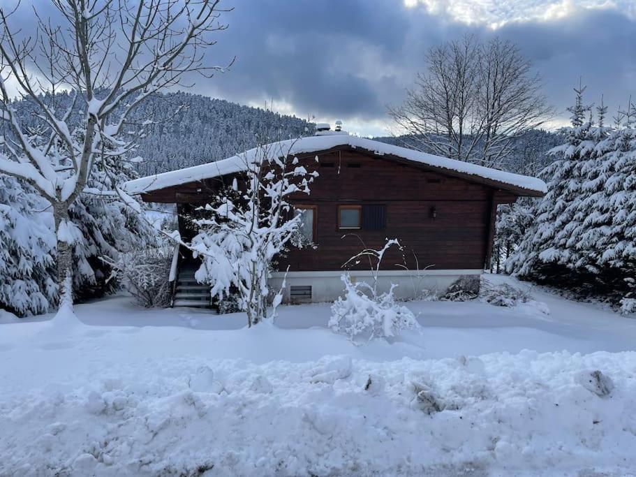 Chalet Situe Au Grand Valtin Villa Ban-sur-Meurthe-Clefcy Esterno foto